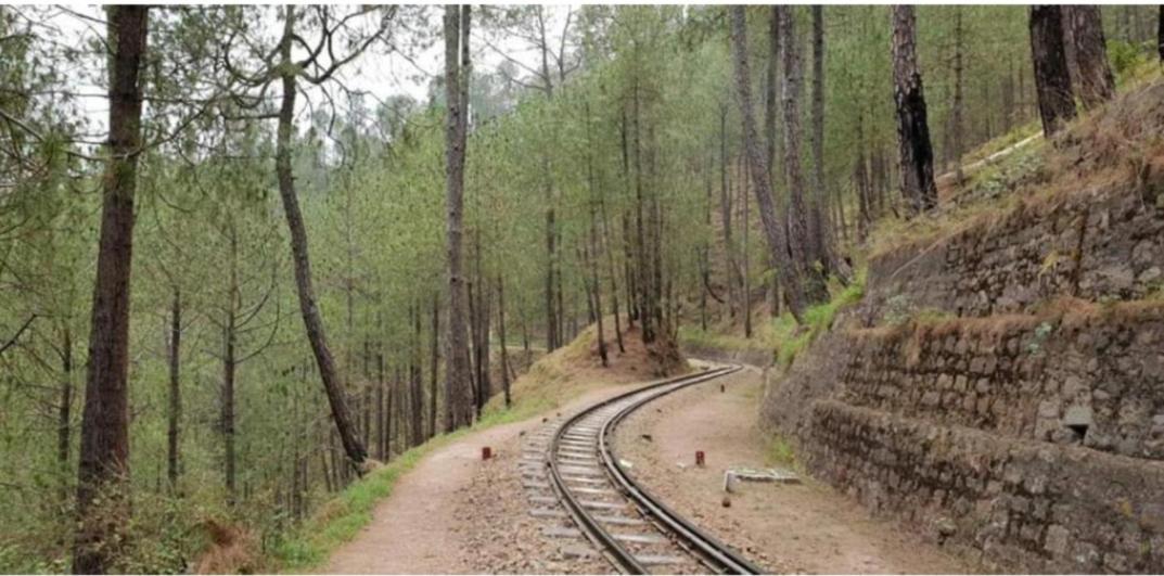 The Heritage Home Kasauli I Pine View Serviced Villa I Best Seller I Vacations I Family Events I Sky Bonfire I Kasauli By Exotic Stays Exterior foto