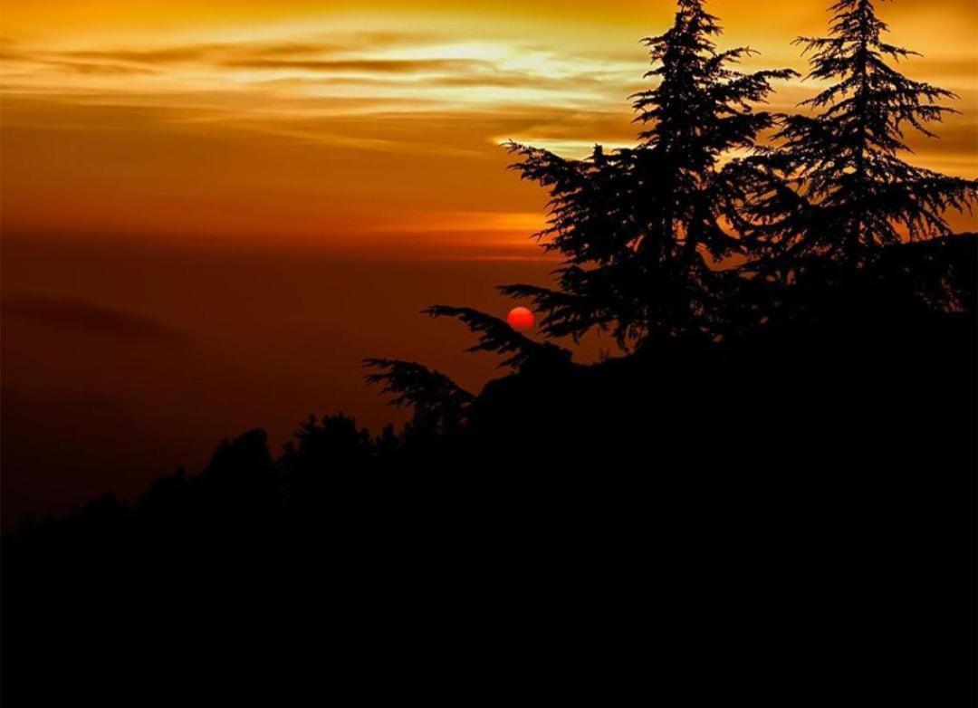 The Heritage Home Kasauli I Pine View Serviced Villa I Best Seller I Vacations I Family Events I Sky Bonfire I Kasauli By Exotic Stays Exterior foto